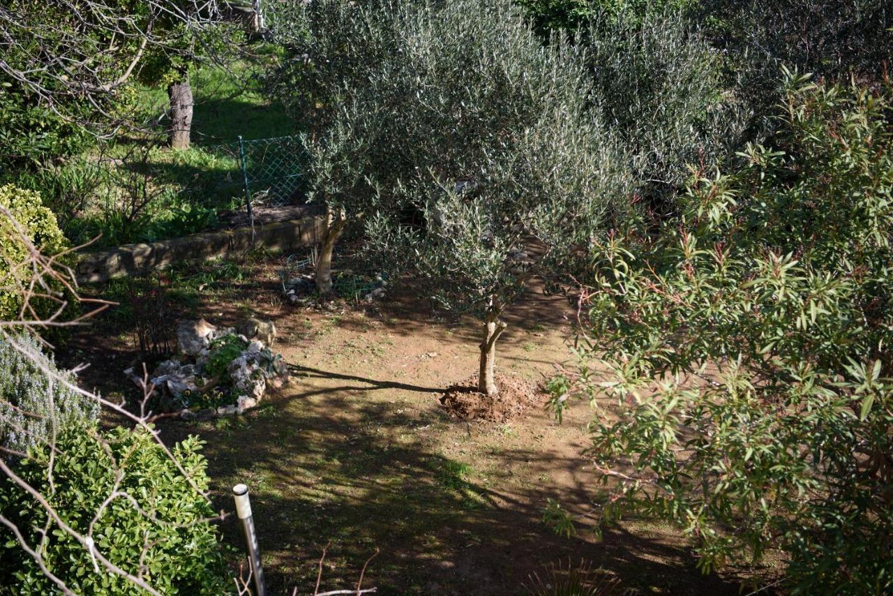 Villa Claudia Lemon Appartment Premantura Luaran gambar